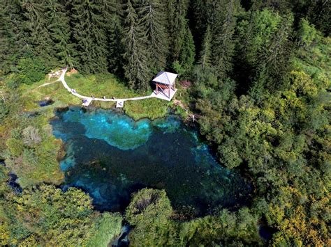 Zelenci — Naravni rezervat